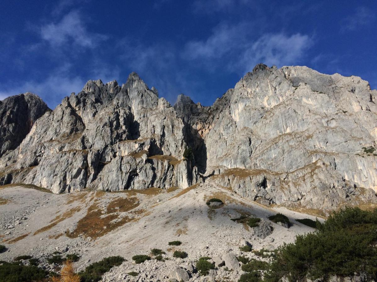 Mein Alpenjuwel Apartment Filzmoos